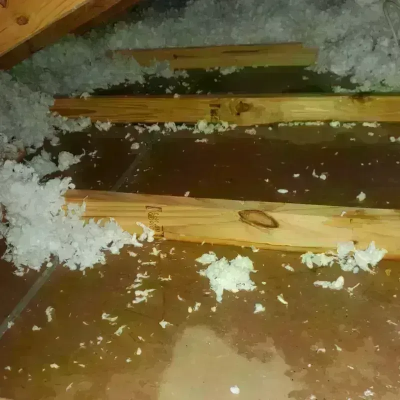 Attic Water Damage in Palouse, WA